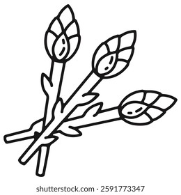 asparagus icon with line art style
