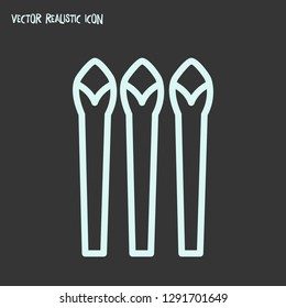 Asparagus icon line element. Vector illustration of asparagus icon line isolated on clean background for your web mobile app logo design.