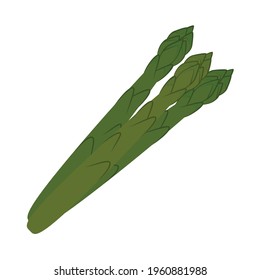 asparagus icon on white background