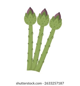 Asparagus Icon Set Vector Design.