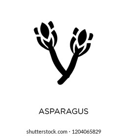 Asparagus icon. Asparagus symbol design from Fruit and vegetables collection. Simple element vector illustration on white background.