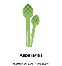 Asparagus icon vector isolated on white background, Asparagus transparent sign