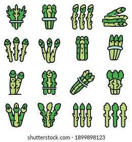 Asparagus icons set. Outline set of asparagus vector icons thin line color flat on white