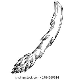 Asparagus isolated hand drawn illustration. Food vegetable engraved style object. Great for menu, label, icon, cover, social post.