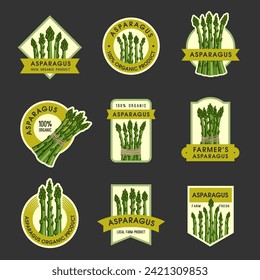 Asparagus label. Design badges for natural organic food recent vector asparagus pictures with place for text