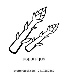 Asparagus Leaf - Fresh And Healthy Black Outline Vector Design Illustration 