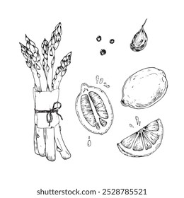 Asparagus, lemon and pepper hand drawn sketch. Illustrations set Ingredients for cooking sparrow grass. For restaurant menu design