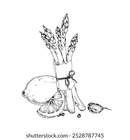 Asparagus, lemon and pepper hand drawn sketch. Illustrations Ingredients for cooking sparrow grass. For restaurant menu design