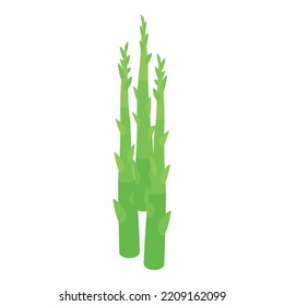 Icono orgánico de espárragos. Isometric del icono del vector orgánico de Asparagus para el diseño web aislado en fondo blanco