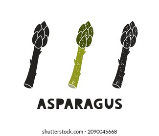 Asparagus pod, silhouette icons set with lettering. Imitation of stamp, print with scuffs. Simple black shape and color vector illustration. Hand drawn isolated elements on white background