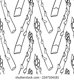 Asparagus seamless pattern. Fresh organic vegetable isolated on white background.