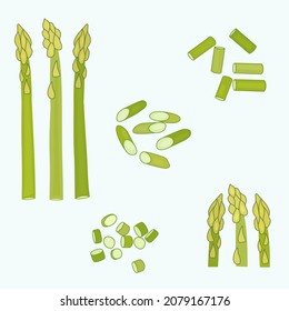 Asparagus. Set asparagus whole and sliced. Vector illustration 