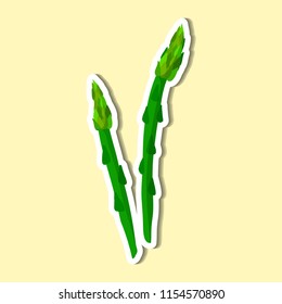 Asparagus of simple color illustrations