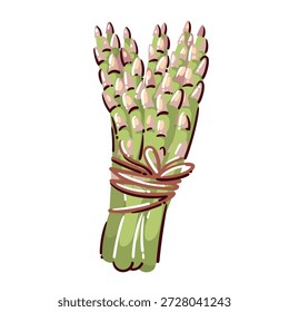 Asparagus spears bunch with tied stems, fresh green asparagus vegetable, raw asparagus ingredient for cooking and cuisine, organic seasonal produce, cartoon vector illustration