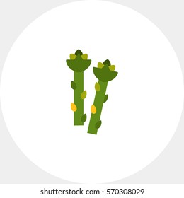 Asparagus stems icon