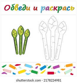 Espárrago. Nombre de tarea "Trace and Color" en ruso. Una página de un libro de colorear con verduras de colores. Repare la línea de puntos. Juego educativo. Estilo de caricatura. Ilustración vectorial para niños, eps