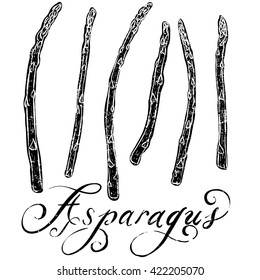 Asparagus
A textured Asparagus icon.