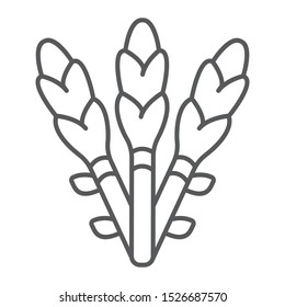 Asparagus thin line icon, vegetable and organic, vegetarian food sign, vector graphics, a linear pattern on a white background, eps 10.