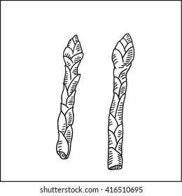 asparagus vector drawing illustration,  in hand drawn sketch style,  for fruits and vegetables market, restaurant and cafe design