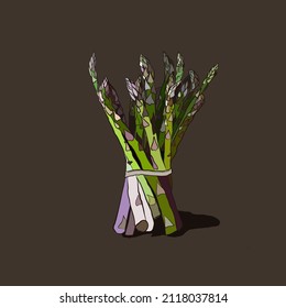 asparagus vector hand drawing illustration isolated on white background, asparagus vegan food vector illustration