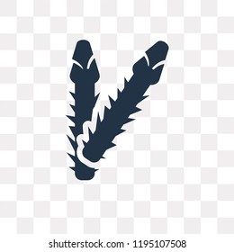 Asparagus vector icon isolated on transparent background, Asparagus transparency concept can be used web and mobile
