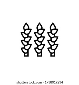 Asparagus vector icon in linear, outline icon isolated on white background