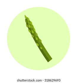 Asparagus vector illustration. Flat design