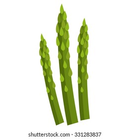 Asparagus vector illustration. Flat design. Isolated on white background.