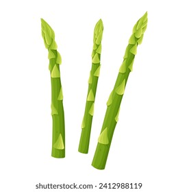 Asparagus vector illustration. isolated on white background. Vector eps 10. perfect for wallpaper or design elements