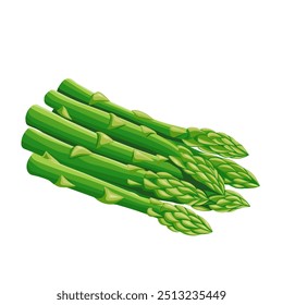 Asparagus vector illustration. isolated on white background. Vector eps 10. perfect for wallpaper or design elements	