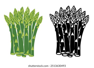 Asparagus vector illustration. isolated on white background. Vector eps 10. perfect for wallpaper or design elements	