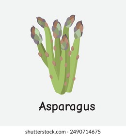 Asparagus Vector Illustration for Kitchen