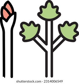 asparagus Vector illustration on a transparent background. Premium quality symmbols. Line Color vector icons for concept and graphic design.