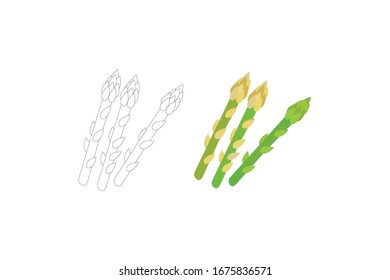 Asparagus  Vector Illustration Of A Vegetable Bundle