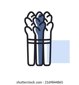 Asparagus vector isolated icon. Barbecue and bbq grill sign. Vegetable. Graph symbol for cooking web site and apps design, logo, app, UI