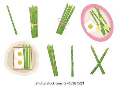 Asparagus Vector Set with Breakfast Dishes – Fresh Green Asparagus Spears, Bundles and Plates with Eggs and Lemon, Healthy Cooking and Meal Illustration Isolated on white Background