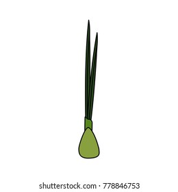 asparagus vegetable food