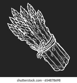 Asparagus vegetable green Vector hand drawn vector illustration. Fresh organic vegetable, vegetarian food in engraved style. Detailed food drawing. For label, poster, print. isolated on black