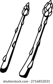 Asparagus vegetable mono shadow illustration