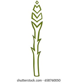Asparagus vegetable outline colored vector icon