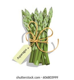 Asparagus vegetable stem. Bunch of fresh green asparagus sprout. Healthy food, dieting, vegetarian salad recipe design.