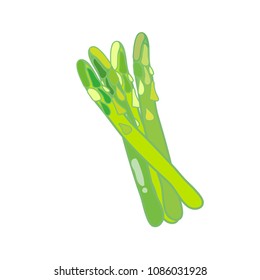 Asparagus vegetable stem isolated on white.