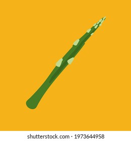 Asparagus vegetables object in vector illustration
