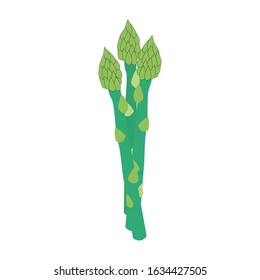 Asparagus vegetables vector illustration isolated on a white background