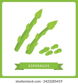 Asparagus whole and sliced vector illustration isolated on white background.