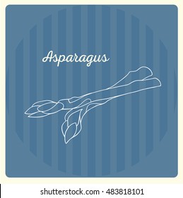 Asparagus.Vector line illustration. Sketch, doodle. 