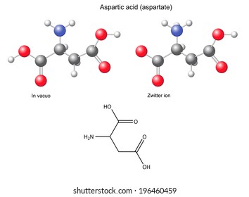 Aspartic acid (Asp) - chemical structural formula and models, amino acid, in vacuo, zwitterion, 2D and 3D illustration, balls and sticks, isolated on white background, vector, eps8