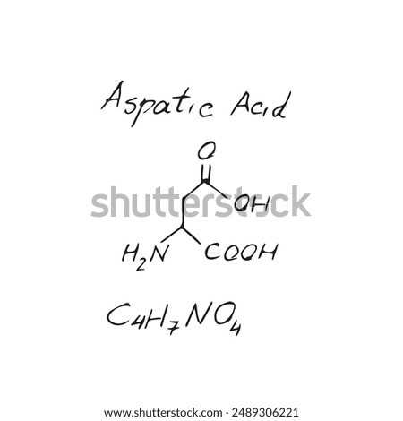 Aspartic Acid C4H7NO4 molecule formula. Hand drawn imitation of aspartic acid structural model, chemistry skeletal formula, sketchy vector symbol