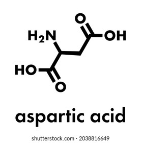 Aspartic acid (L-aspartic acid, Asp, D) amino acid molecule. Skeletal formula.