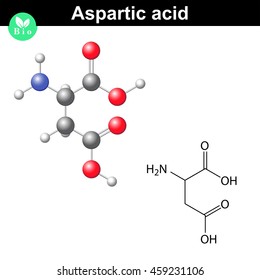 Aspartic acid - main amino acid and neurotransmitter, chemical model and molecular formula, 2d and 3d illustration, vector, eps 8